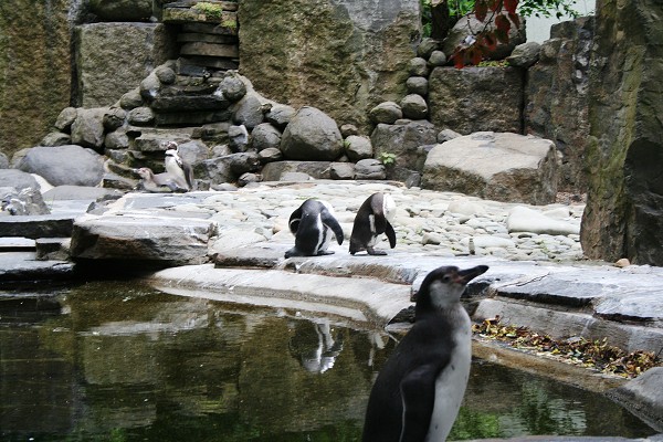 Výlet do ZOO