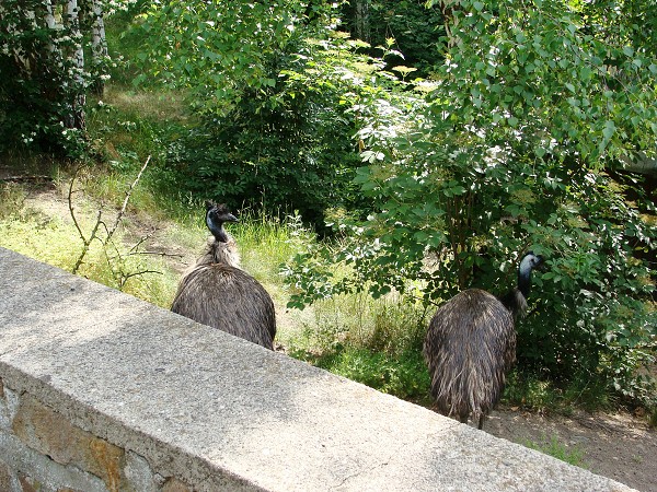 Výlet 7. třídy do ústeckého ZOO