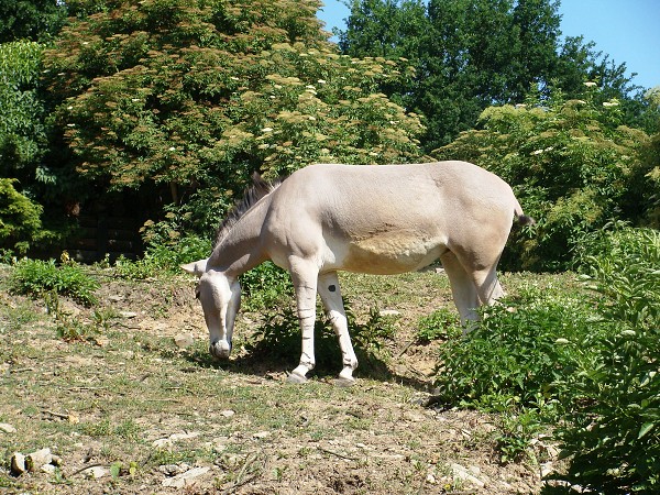 Výlet 7. třídy do ústeckého ZOO