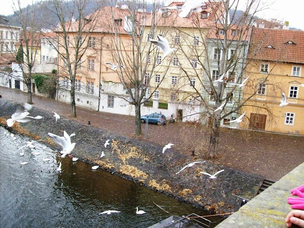 Výlet 4. třídy do adventní Prahy