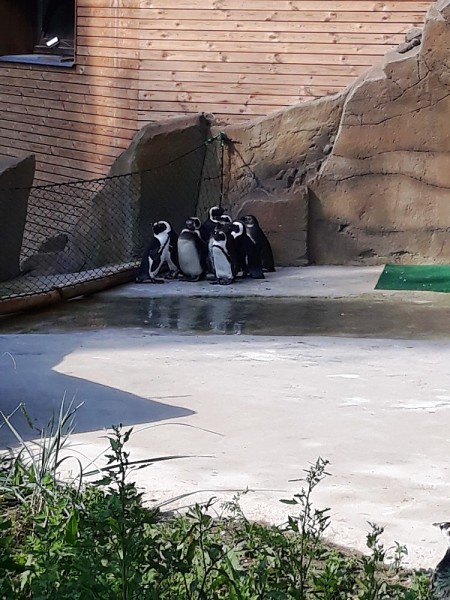 Výlet 8. třídy do ústecké zoo