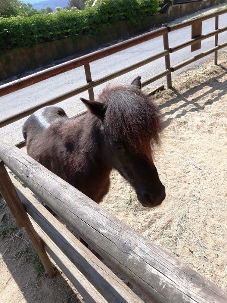 Výlet 8. třídy do ústecké zoo