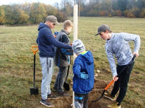 Sázení stromů (1., 2. a 8. třída)