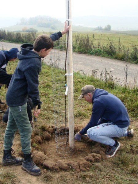 Sázení stromů (1., 2. a 8. třída)