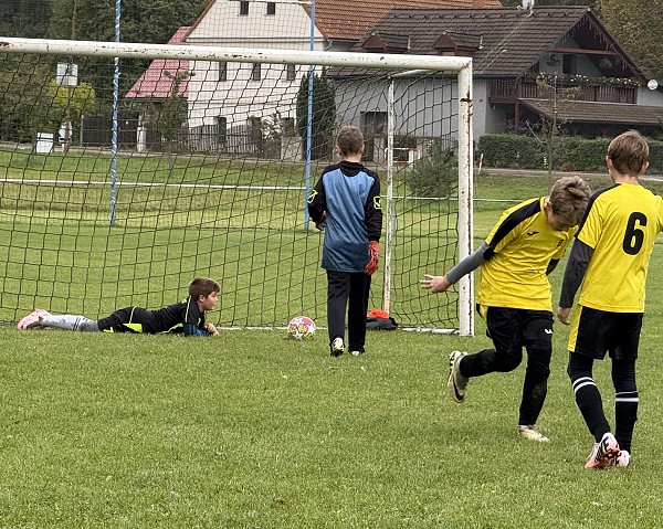 Máchův pohár