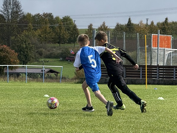 Máchův pohár