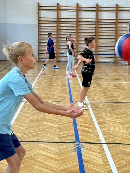 Sportovní hry