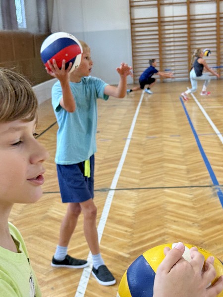 Sportovní hry