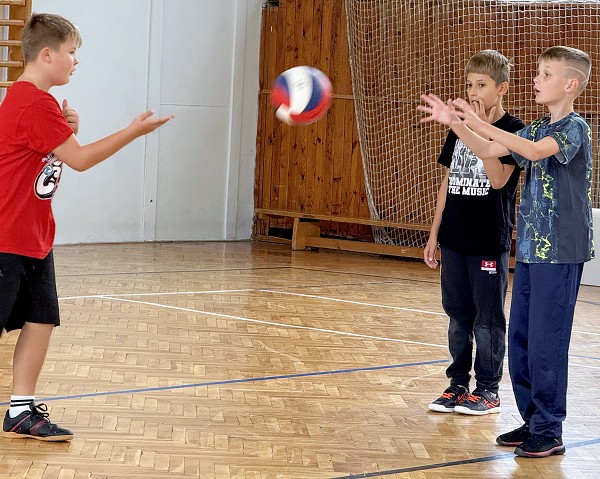 Sportovní hry