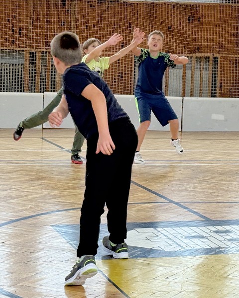 Sportovní hry