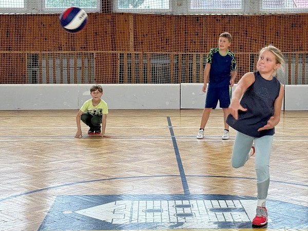 Sportovní hry
