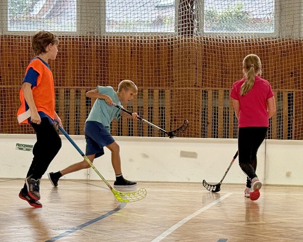 Sportovní hry