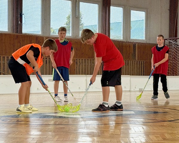 Sportovní hry