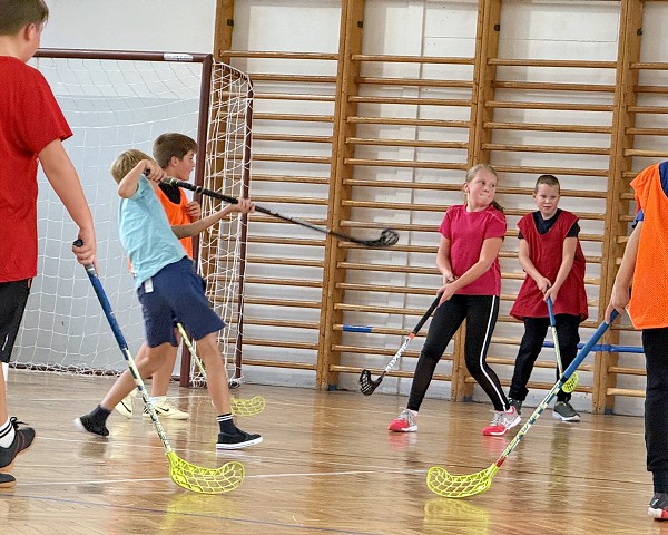 Sportovní hry