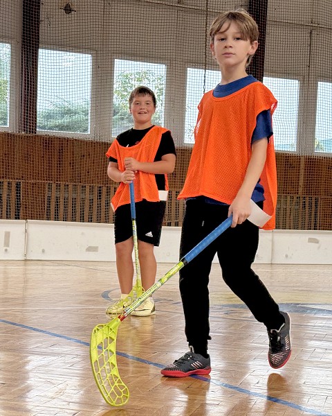 Sportovní hry