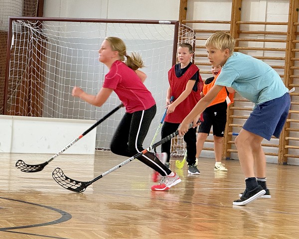 Sportovní hry
