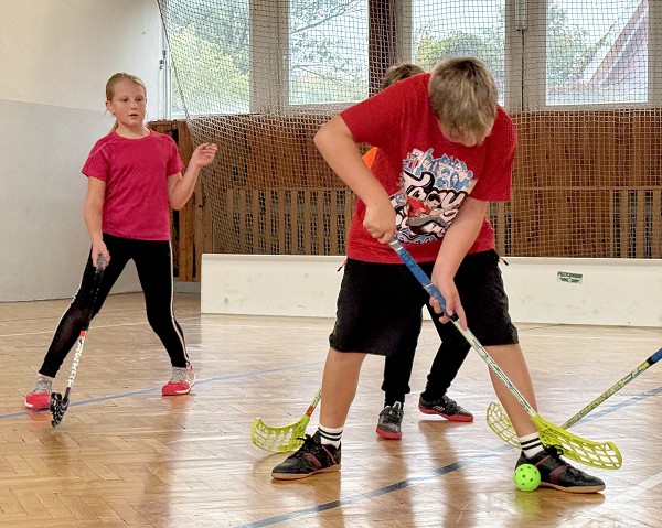 Sportovní hry