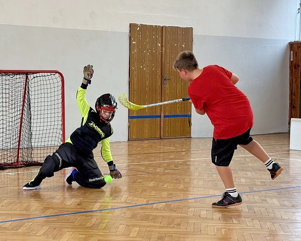 Sportovní hry