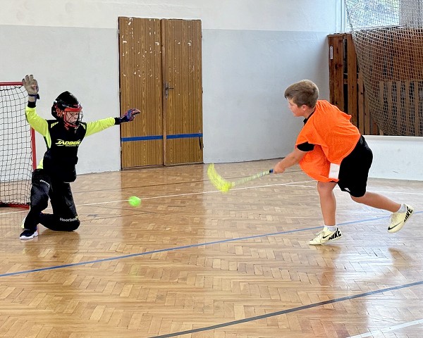Sportovní hry