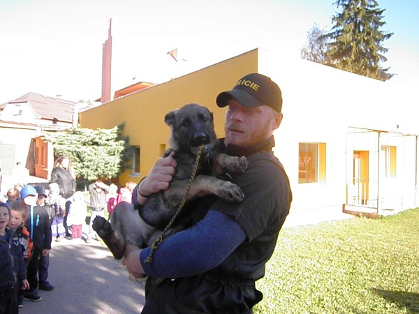 Policie v MŠ