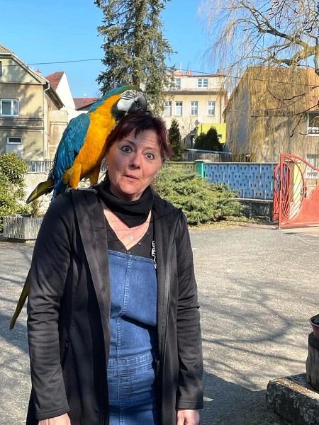 Fotografie z MŠ
            2021/22