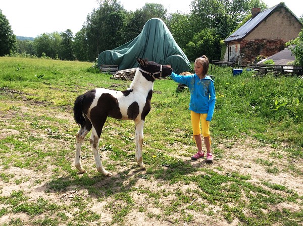 Na farmě u Rokosů